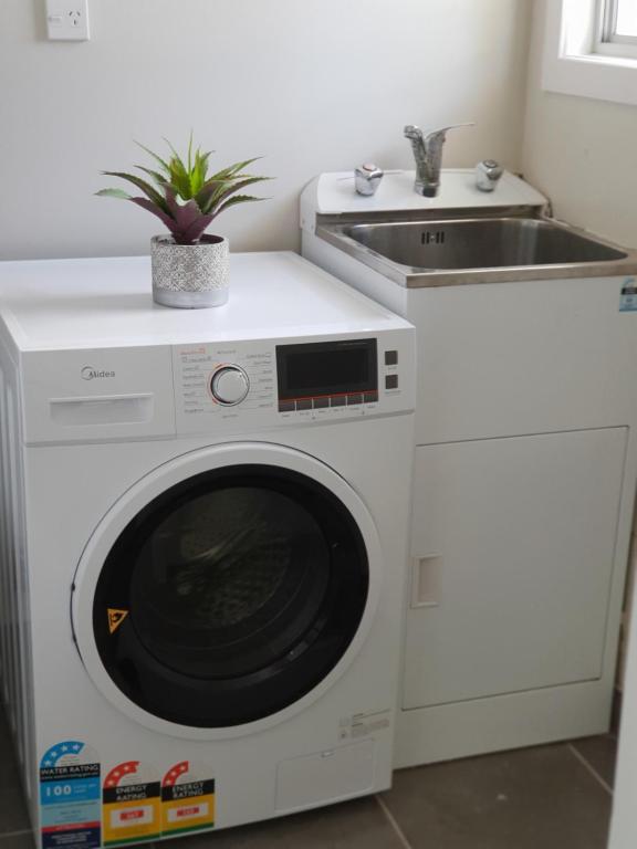 Rose Apartments Unit 6 Central Rotorua-Accommodation & Spa