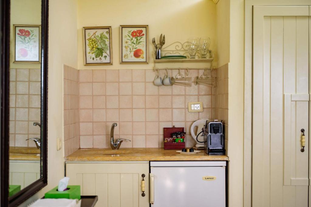 Kuchyň nebo kuchyňský kout v ubytování Amirey Hagalil Boutique Hotel