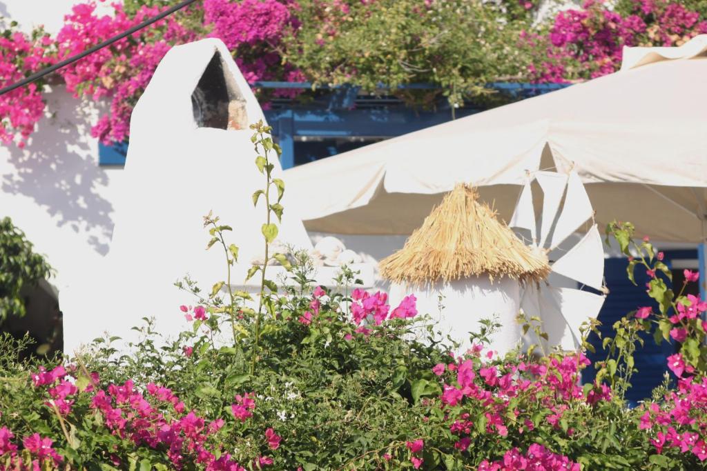 Pandora Studios Paros photo 2