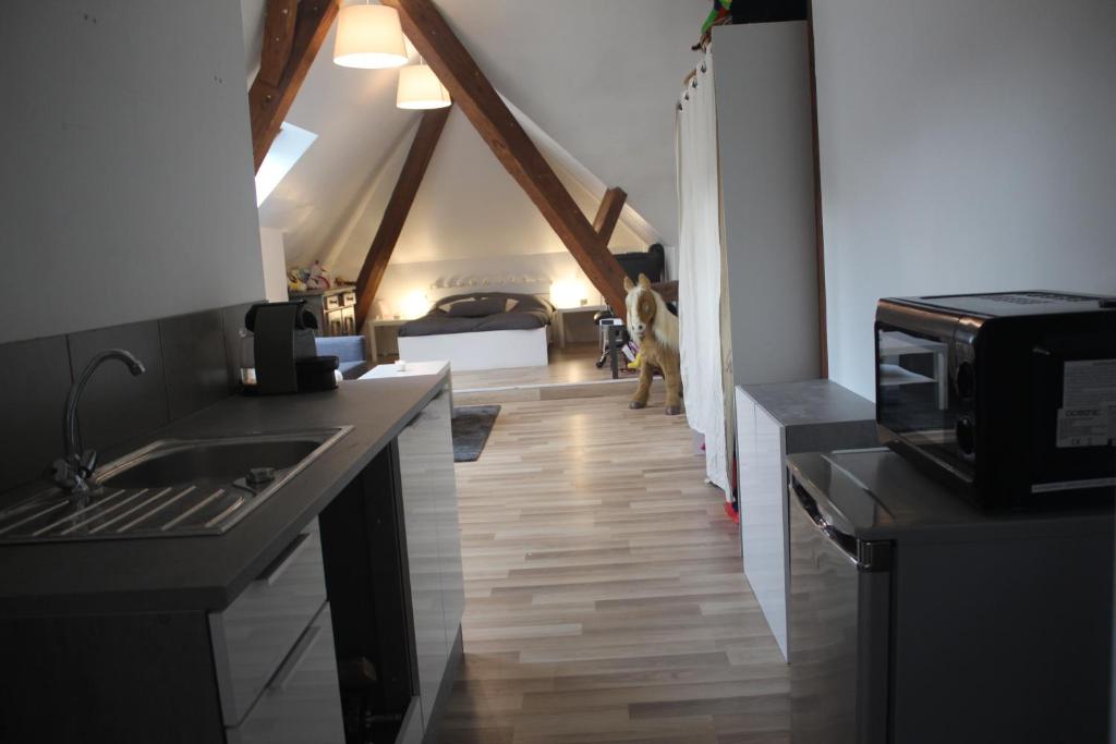 Chambres Privatives Chez l'Habitant – photo 56
