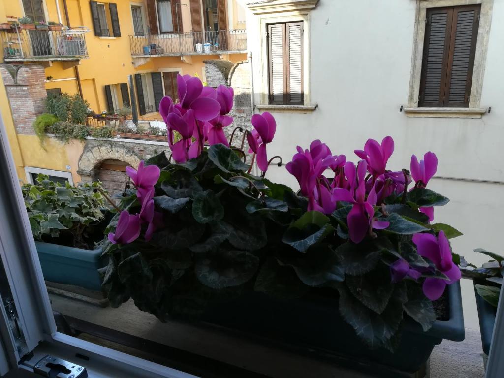Fotografie z fotogalerie ubytování A casa di Luca v destinaci Verona