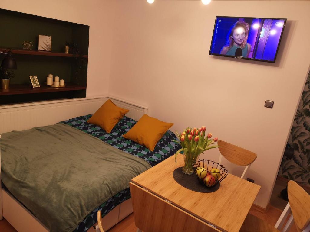 um quarto com uma cama e uma mesa com uma televisão na parede em Apartament Zielony Zdrój em Polanica-Zdrój