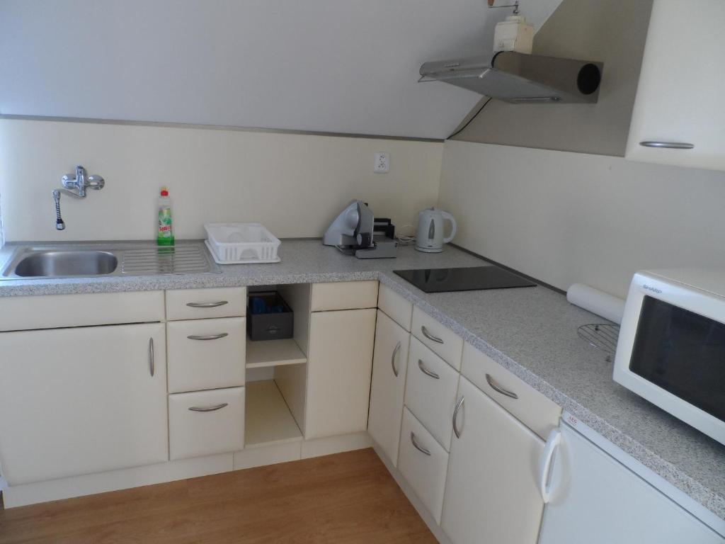 Kuchyň nebo kuchyňský kout v ubytování Apartmán Ludmila