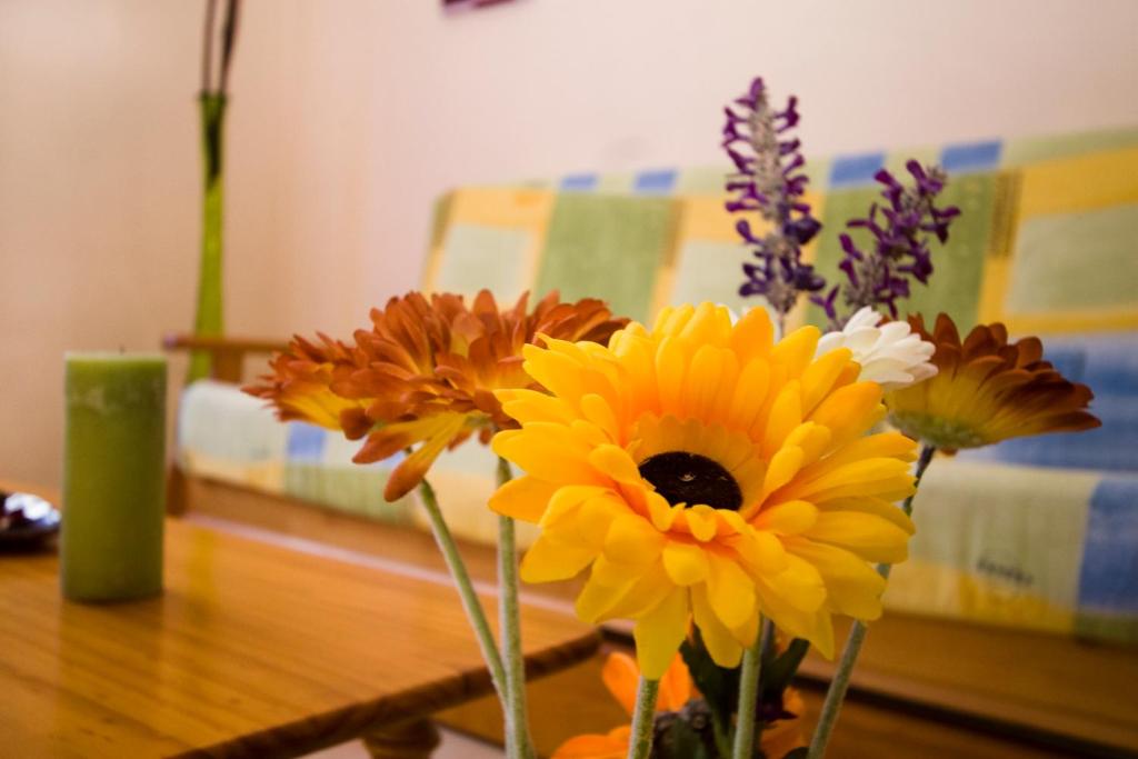 Apartamentos Dana Madrid - 13