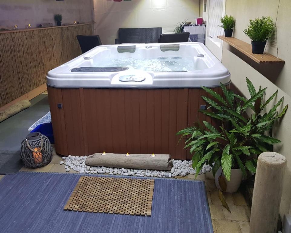 a hot tub in the middle of a room with a plant at Villa Cottreau in Marseille