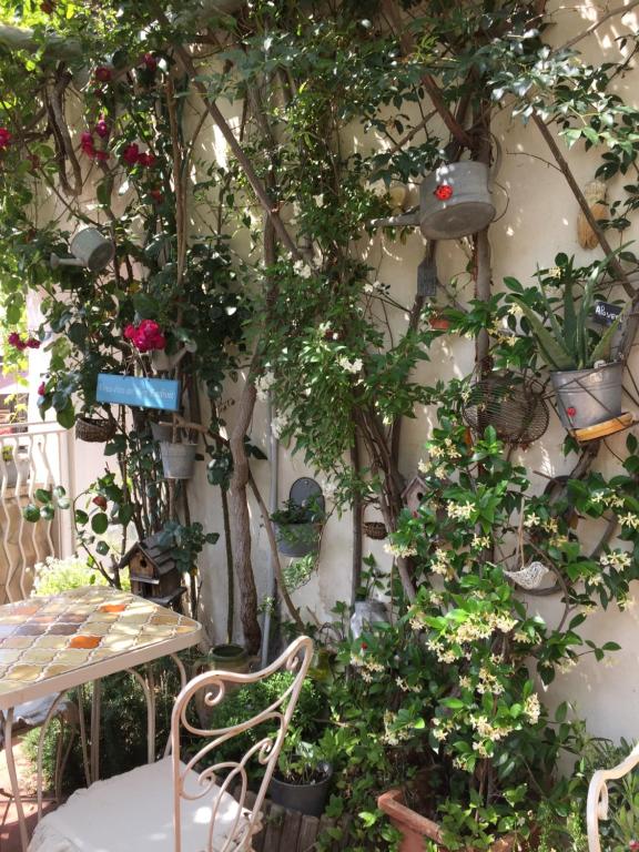 a garden with a table and a bunch of plants at Hotel Le Méditérranée in Saintes-Maries-de-la-Mer