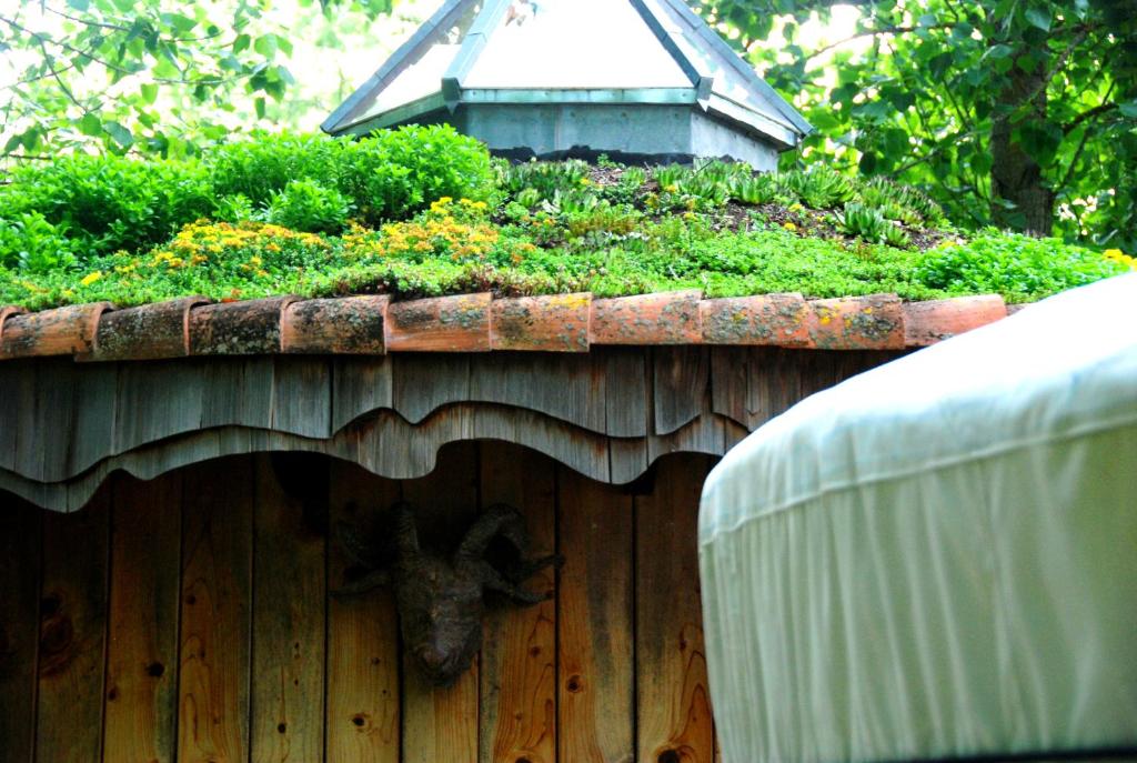 a goat sticking its head out of a bird house at Yourtes de Gascogne in Lannes