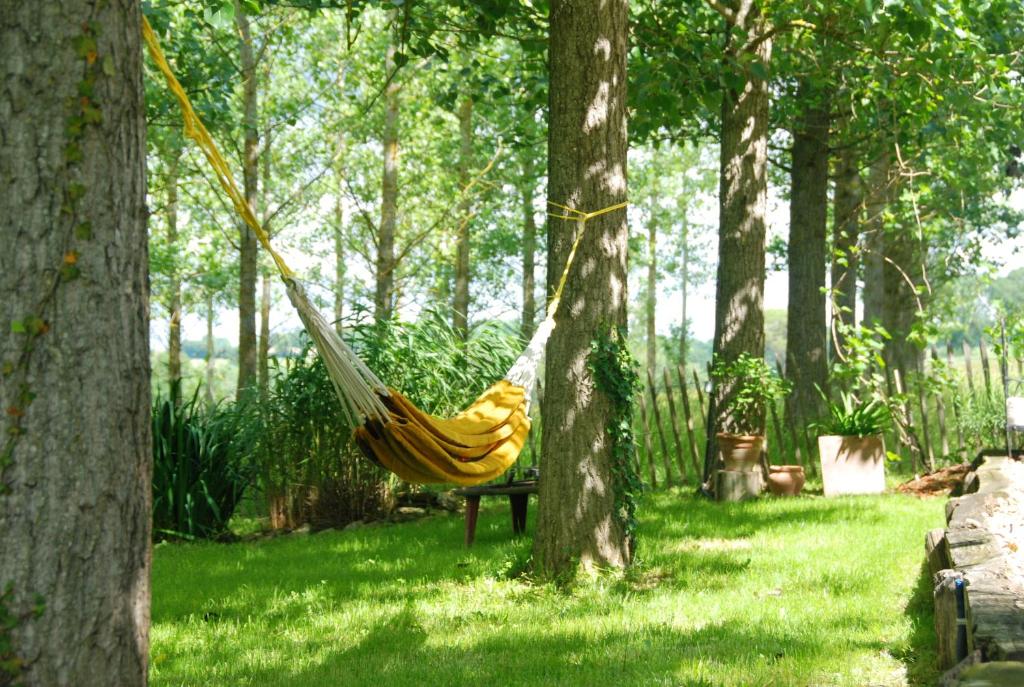 a hammock hanging between two trees in a yard at Yourtes de Gascogne in Lannes
