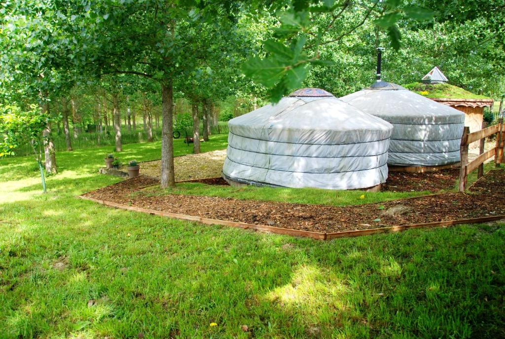 two domes in a yard with trees and grass at Yourtes de Gascogne in Lannes