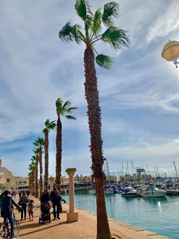 CasaCec, Alicante – Updated 2023 Prices