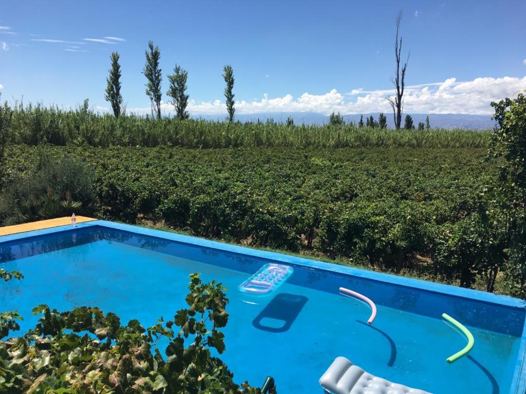 a pool in the middle of a vineyard at Tres Marías Alto de Sierra San Juan in Santa Lucía