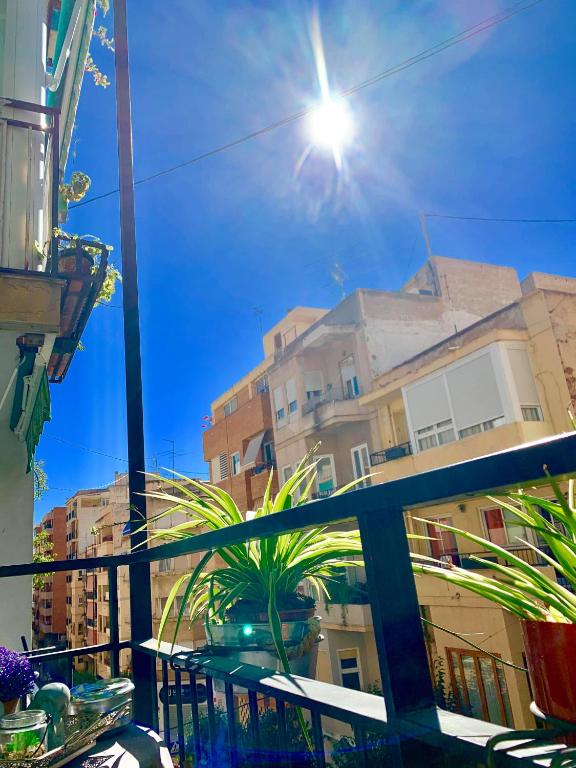 CasaCec, Alicante – Updated 2023 Prices