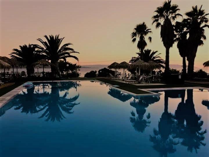 a swimming pool with palm trees and a sunset at Clara Resort in Petra