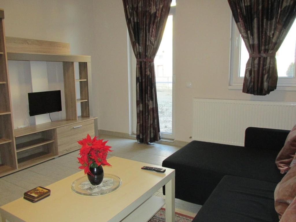 a living room with a couch and a table at Apartament Daniela in Floreşti
