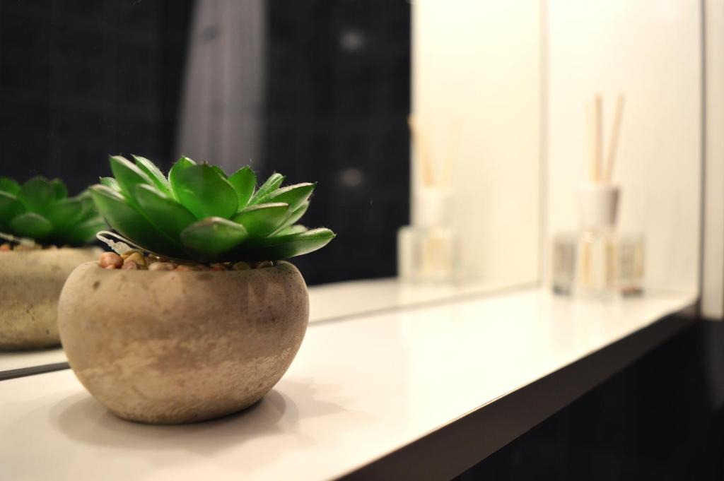 Fotografie z fotogalerie ubytování Apartment Marlena v Záhřebu