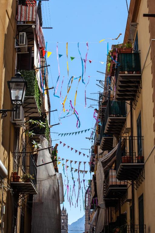 Galería fotográfica de ALBA DEL CAPO en Palermo