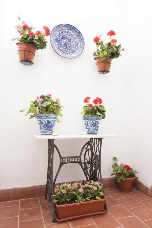 Fotografia z galérie ubytovania Malaga Center Flat Comedias Street v destinácii Málaga