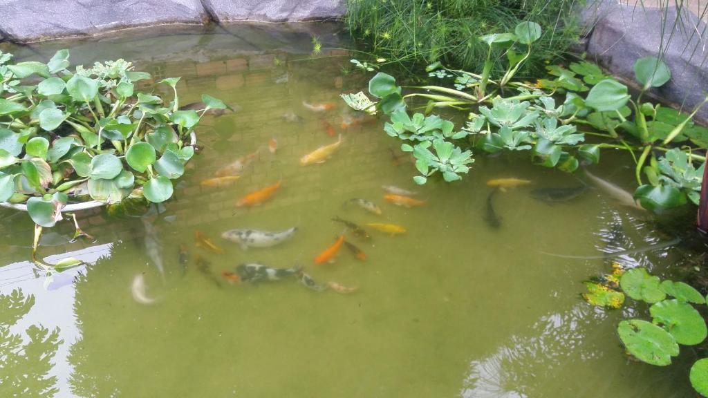  Casa do Lago