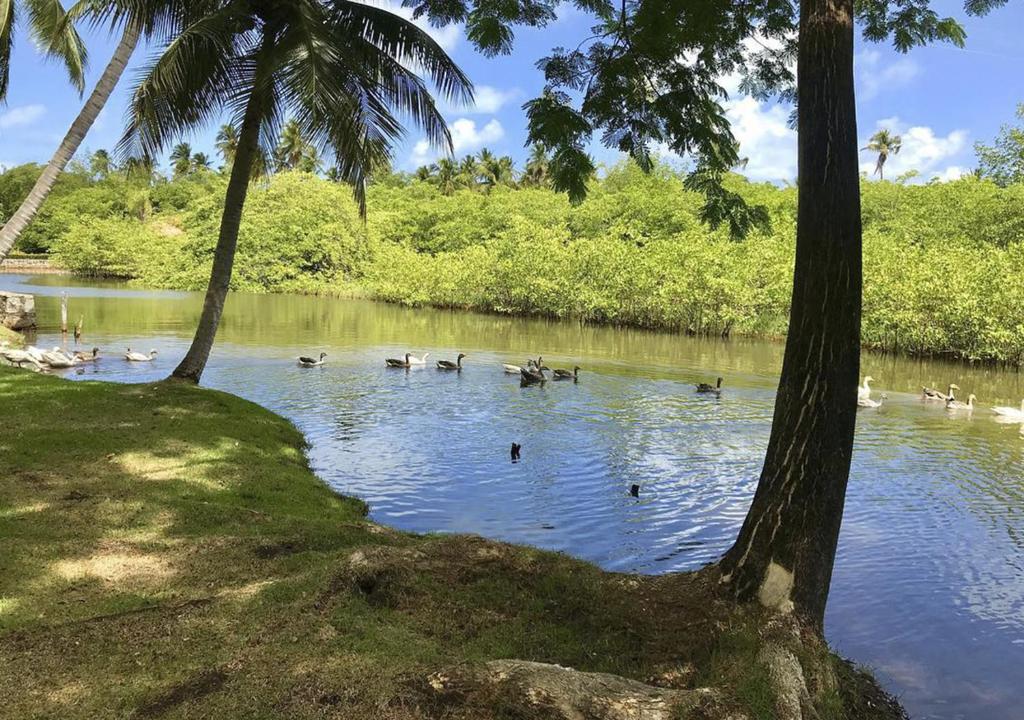  Pousada Paraiso dos Coqueirais