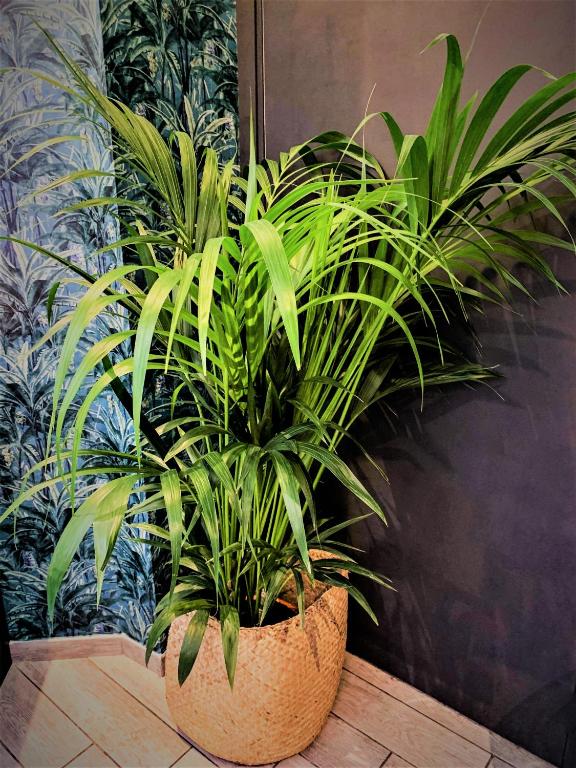 Hôtel Boutique Richelieu, Lyon Gare Part-Dieu - Resim 15