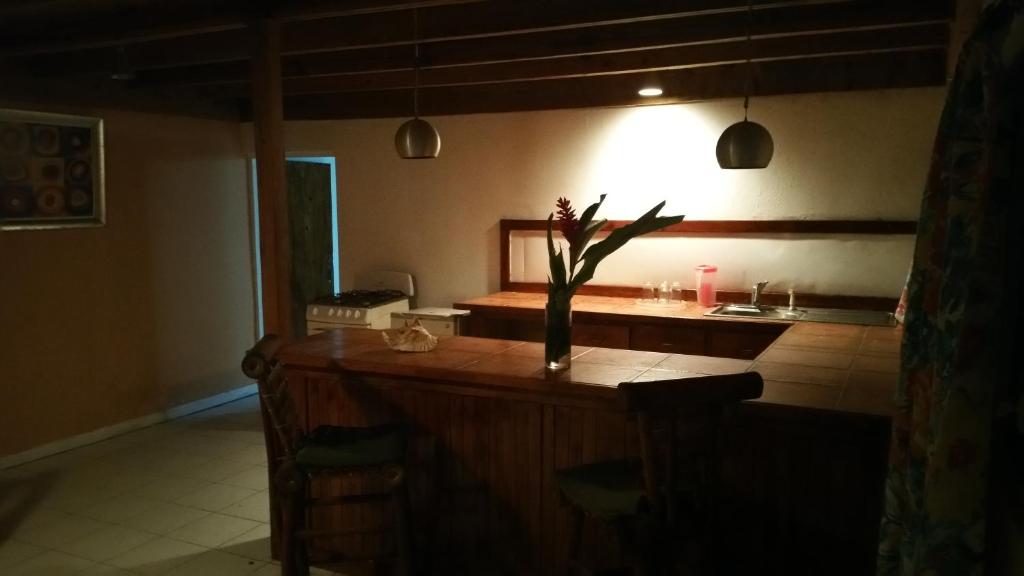 Fotografie z fotogalerie ubytování MAMAJUANA BEACH APARTAMENTS v destinaci Boca Chica