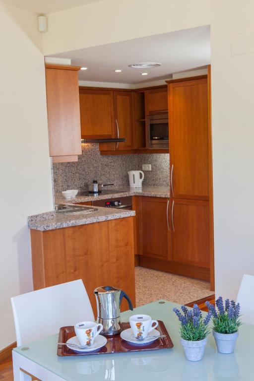 Kuchyň nebo kuchyňský kout v ubytování Apartamento Torre Gran Luxe