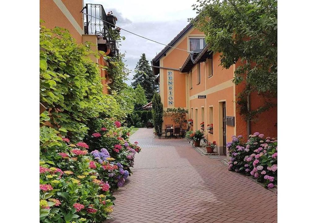 an alley with flowers and buildings in a town at Pension Body Sun in Niesky