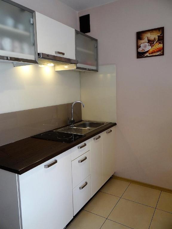 Kuchyňa alebo kuchynka v ubytovaní Sentymentalne Kościelisko Apartament & SPA