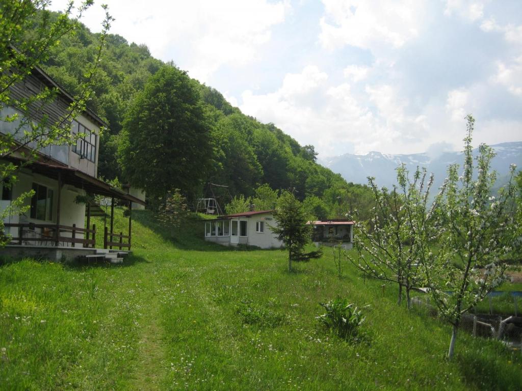 a house in a green field with mountains in the background at Bungalows Zdravets in Berkovitsa