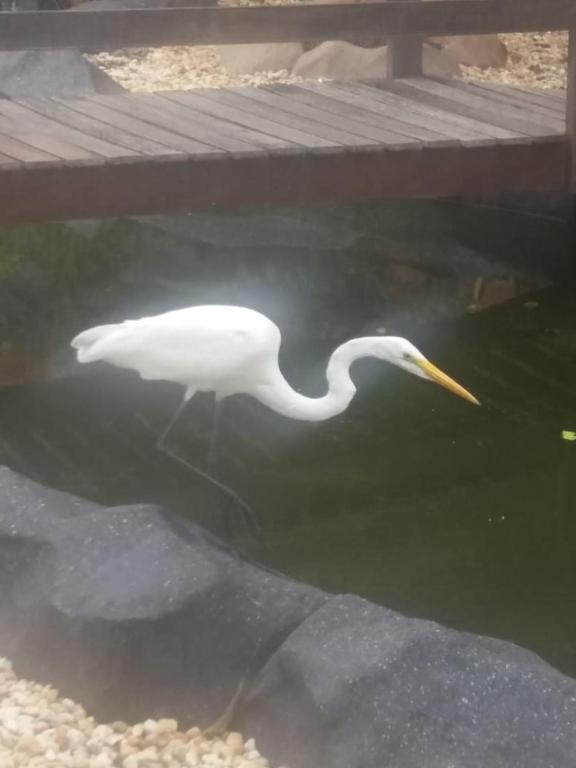  Casa do Lago