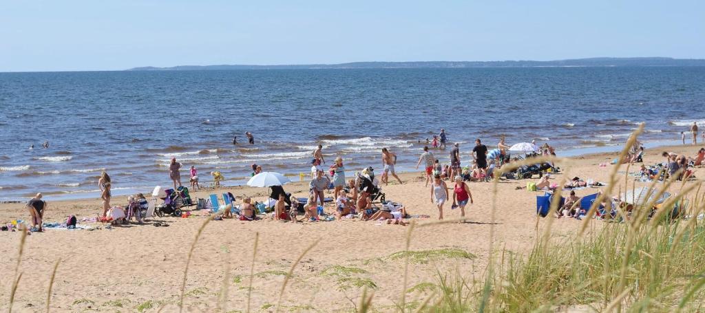een groep mensen op een strand bij het water bij Gullbrannagården in Halmstad