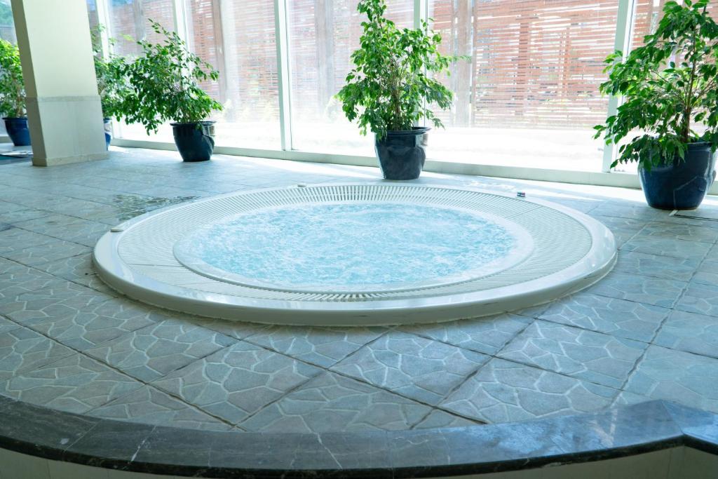 Al Ain Palace Hotel Abu Dhabi - Resim 17