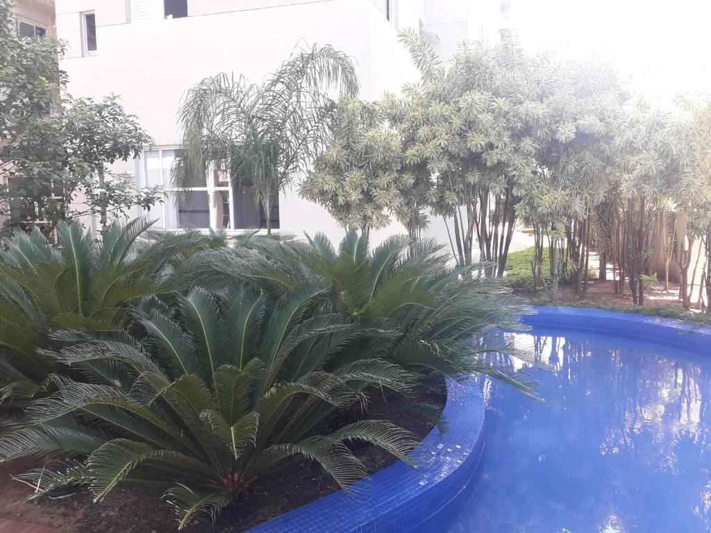  Lindo Apartamento nas Astúrias