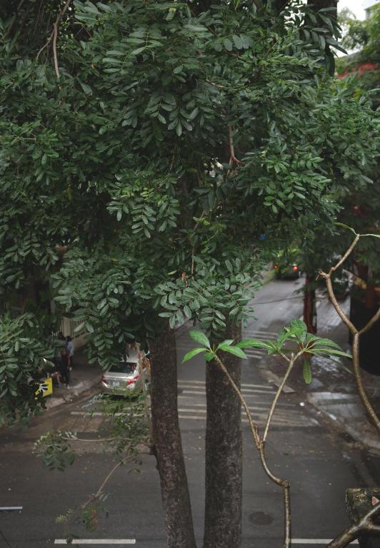 Fotografie z fotogalerie ubytování The First Ba Trieu Ha Noi v Hanoji