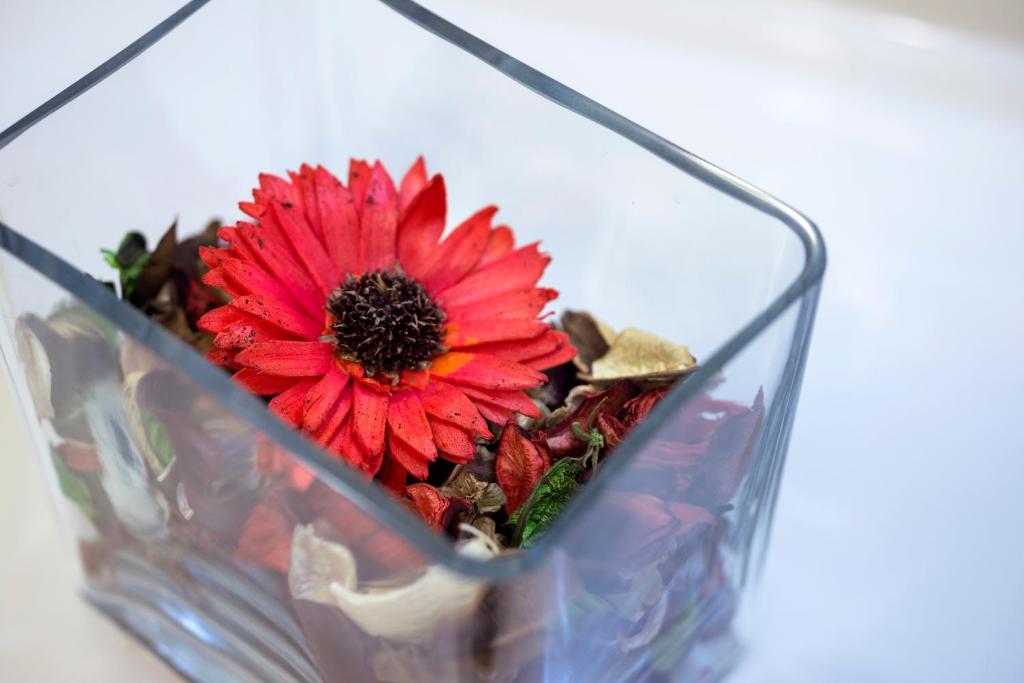 Lancaster Hotel - Resim 43