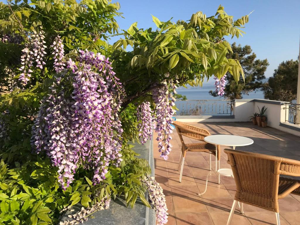 Fotografie z fotogalerie ubytování Holiday Home Callesol v destinaci Šilo