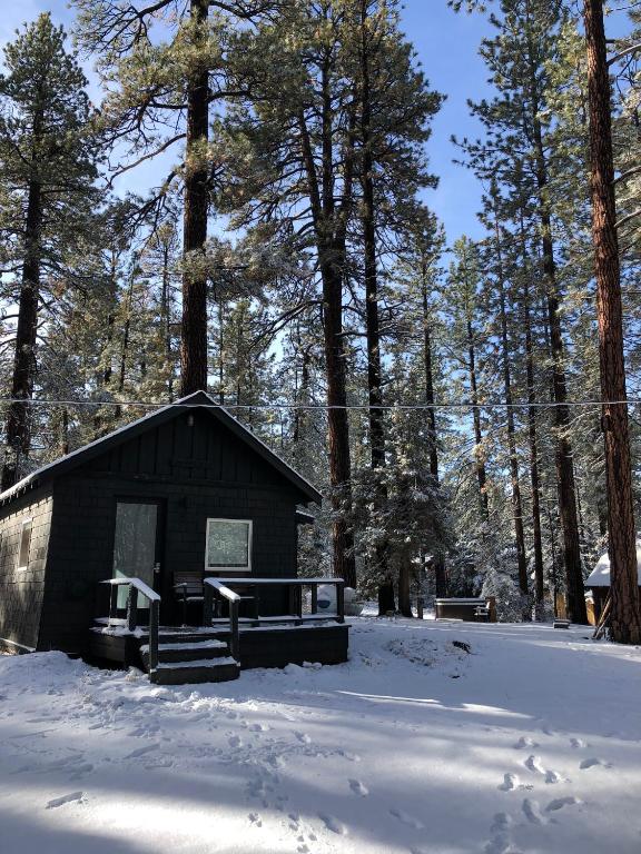 Colorado Lodge v zimě