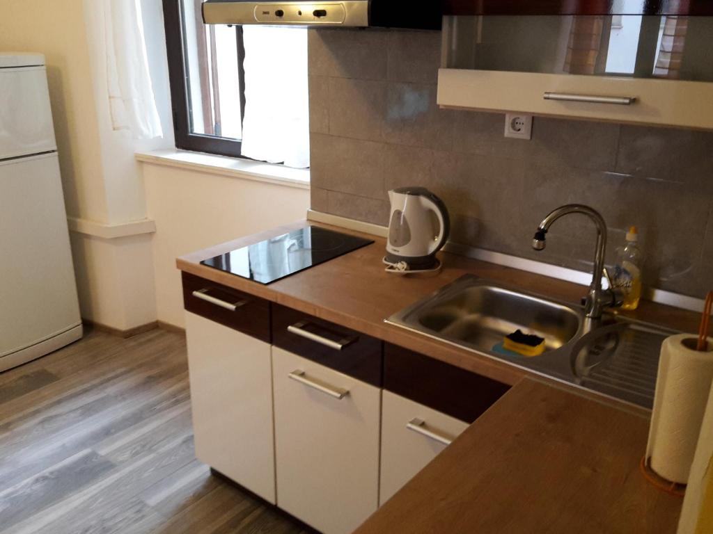 Kuchyňa alebo kuchynka v ubytovaní Apartment Kolega