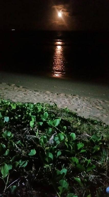  Beach Class Muro Alto