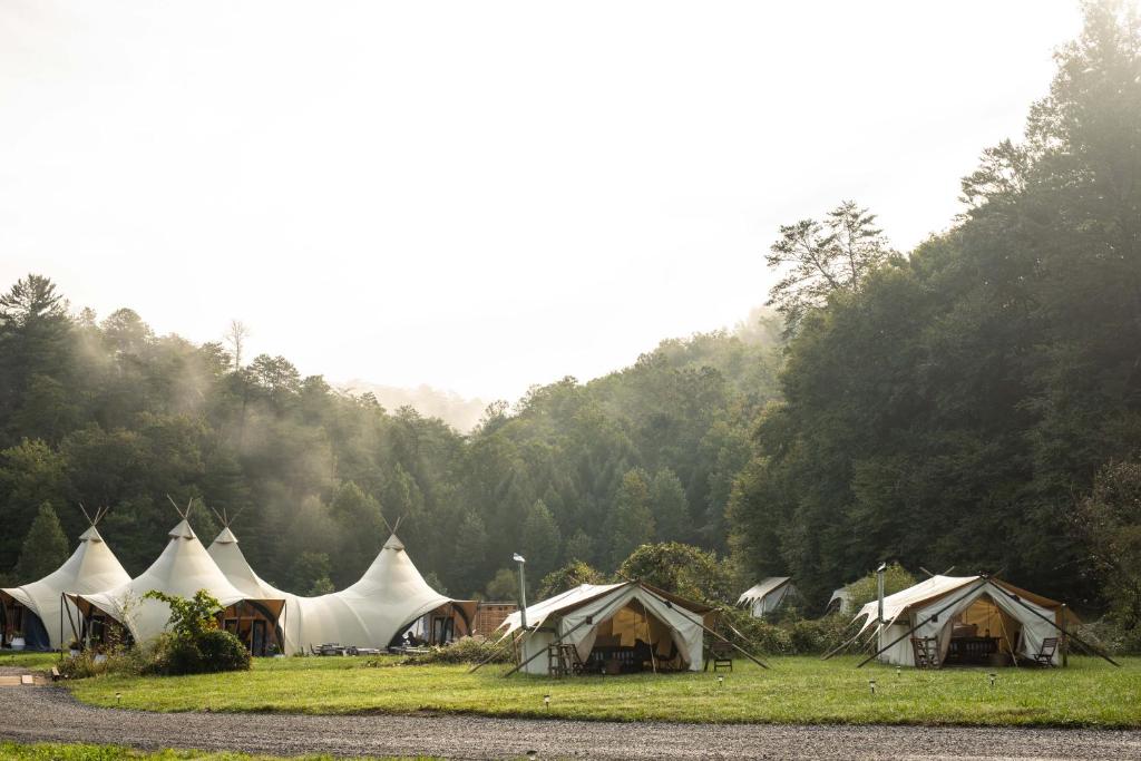 a group of tents in a field with trees at Under Canvas Great Smoky Mountains in Pigeon Forge