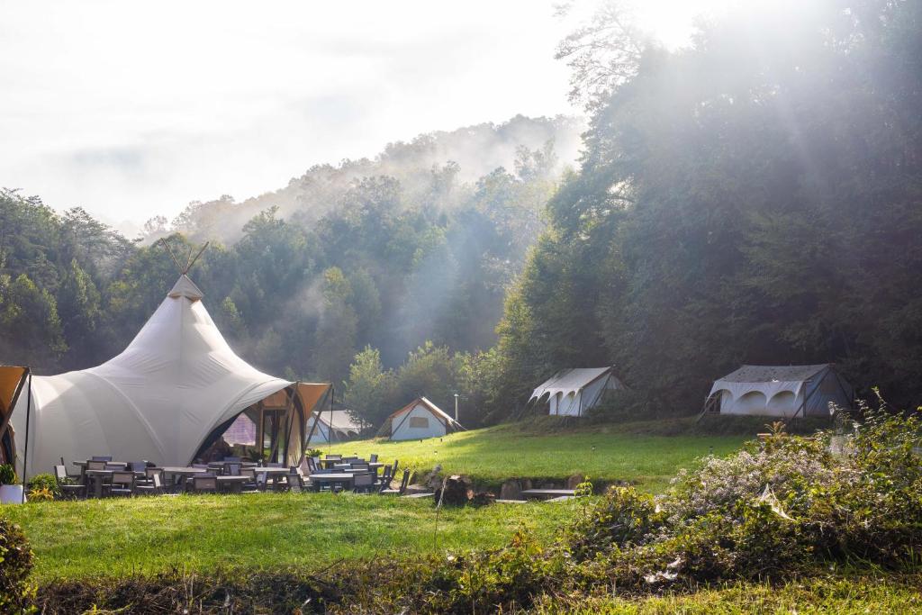 Příroda nedaleko luxury tent