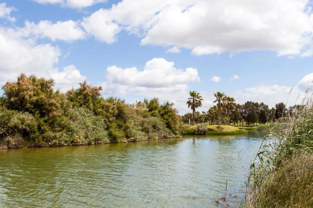 a river with trees and clouds in the sky at Bayside Salgados in Albufeira