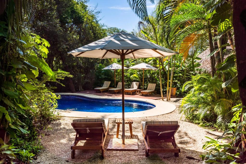 - un parasol et des chaises à côté de la piscine dans l'établissement The Sunset Shack, à Nosara