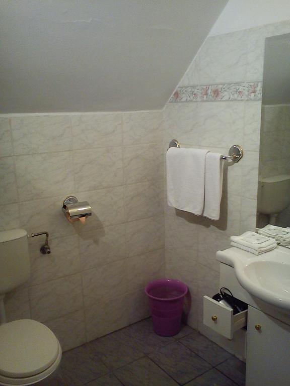Nr 100 Szentendre Hotel Panzio szolgáltatások - Kleine Tweepersoonskamer