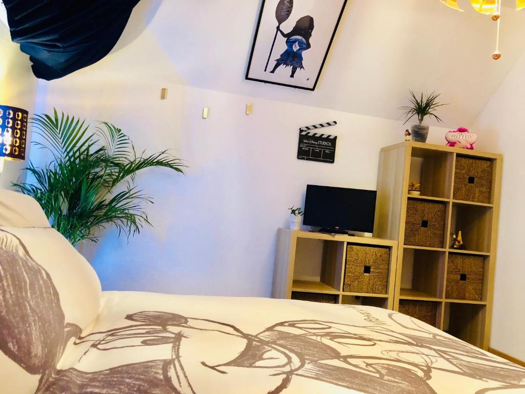 Chambres d'hôtes à thèmes à 2,4Km du parc - Standard Double Room