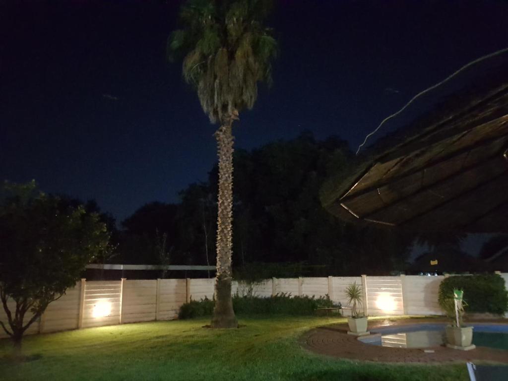 a palm tree in a yard at night at Huis Afrika in Vanderbijlpark