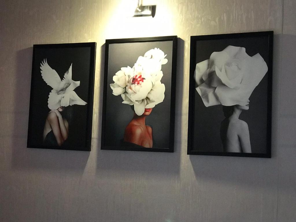 Kota's House Homestay - Camera Familiare Con Vista Da Giardino