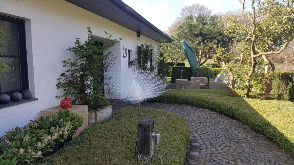 un jardín con una fuente en medio de un patio en Ferienwohnung Kolb, en Issum