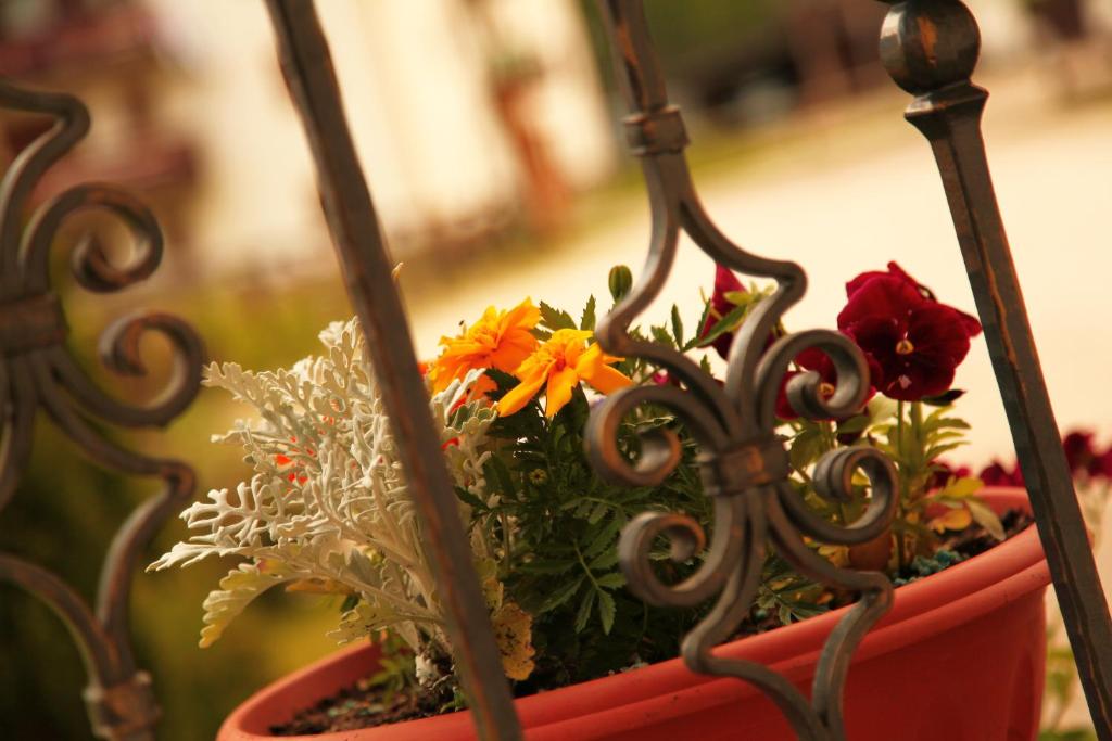 Zahrada ubytování Garnì Prà Fiorì