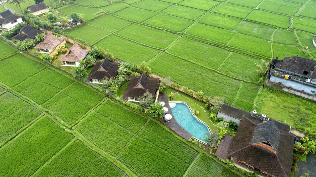 une vue aérienne sur une maison avec une piscine dans un champ dans l'établissement Kabinawa Ubud Villas by Pramana Villas, à Ubud